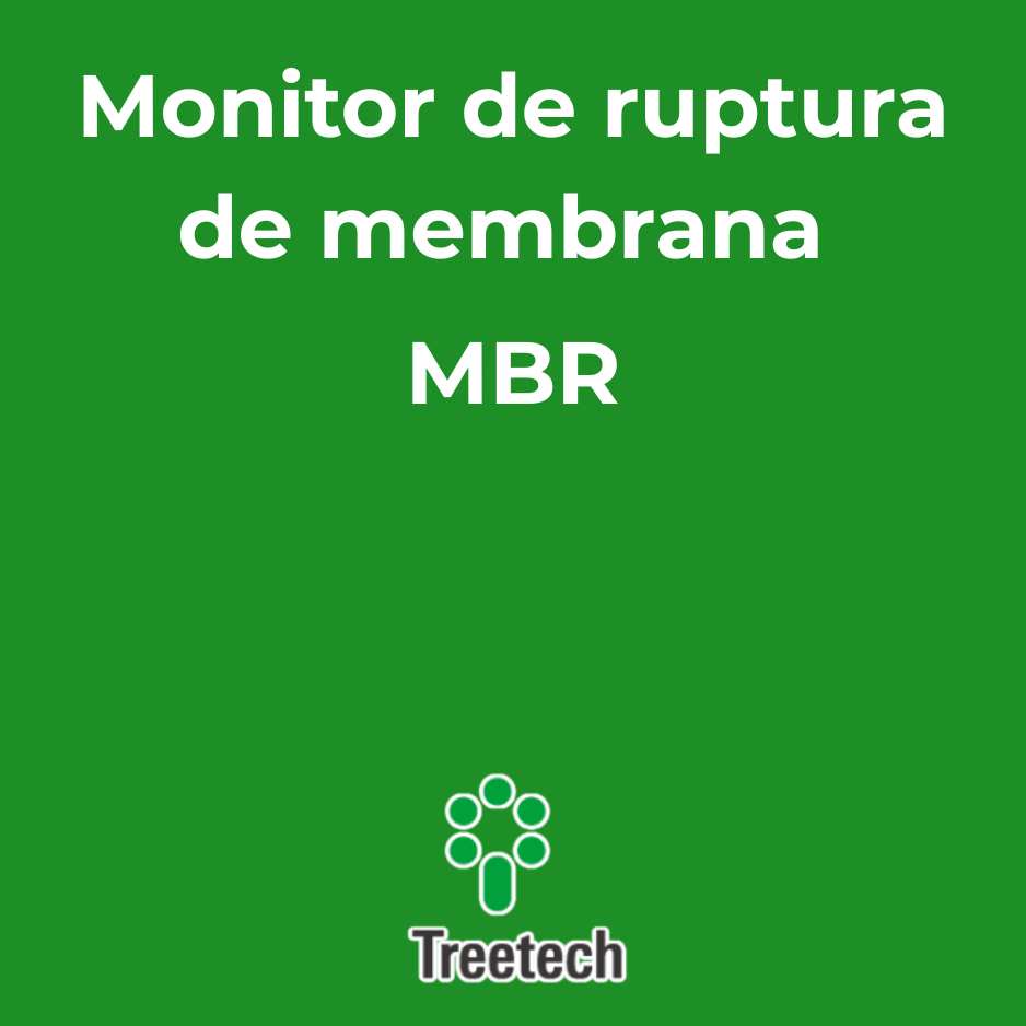 Reverso
